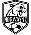 Norwayne Youth Soccer